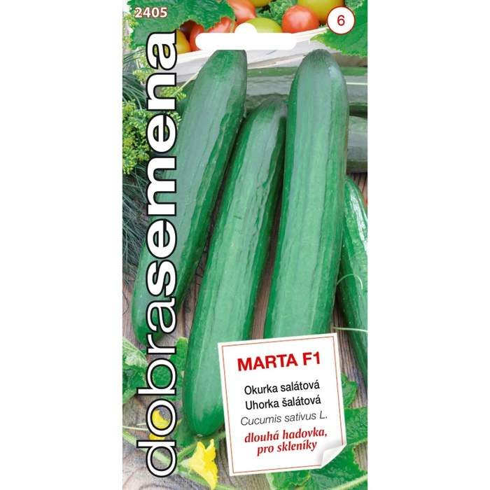 Okurka skleníková MARTA F1
