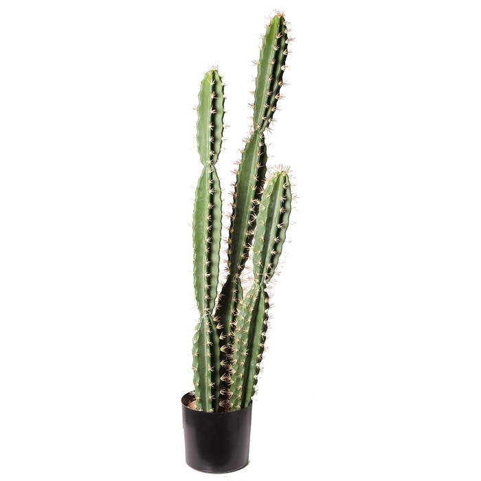 Kaktus San Pedro umělý