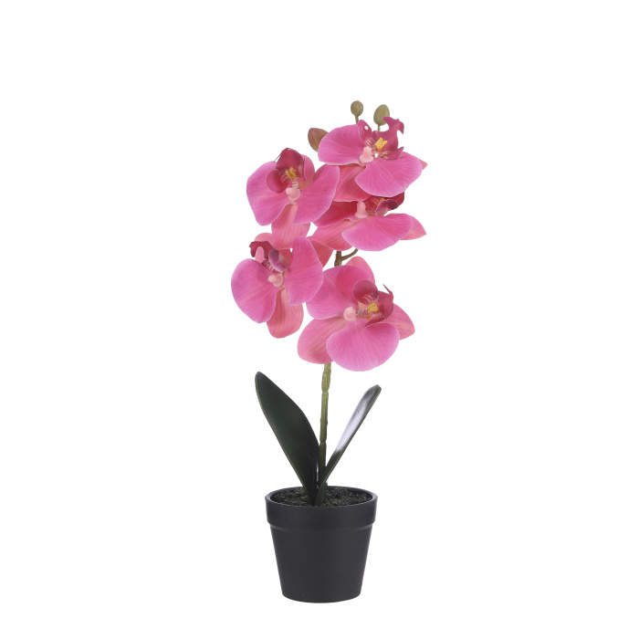 Phalaenopsis hrnkový umělý růžový