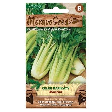 Celer řapíkatý MALACHIT